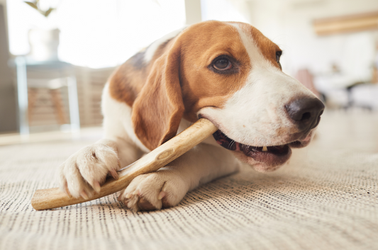 A Natural Chew Toy for Your Furry Friend - Coffee Wood Chew for Dogs