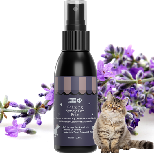Herbal Calming Spray for Pets – 100ml