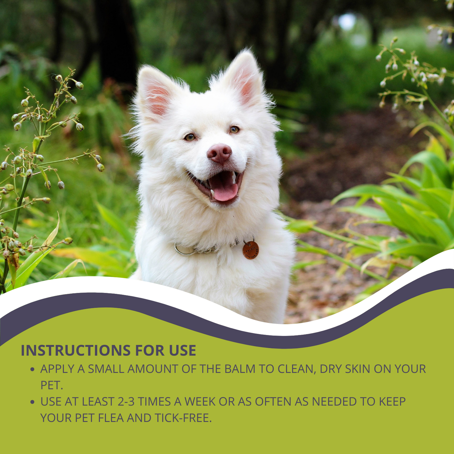Flea and Tick Repellent for Dogs & Cats 30ml