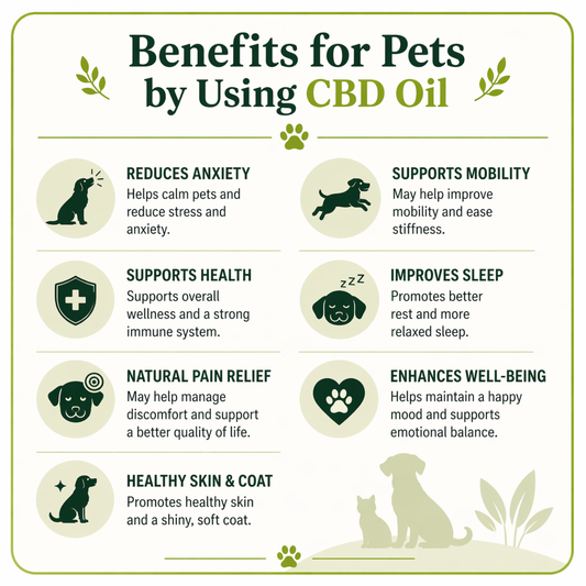 2% CBD Oil for Pets 10ML