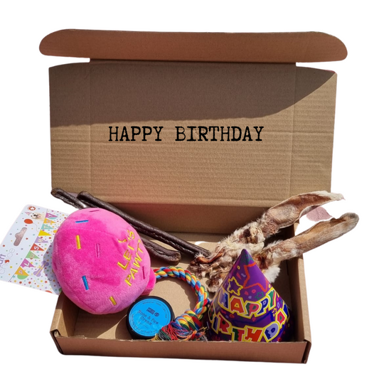 Birthday Dog Gift Box
