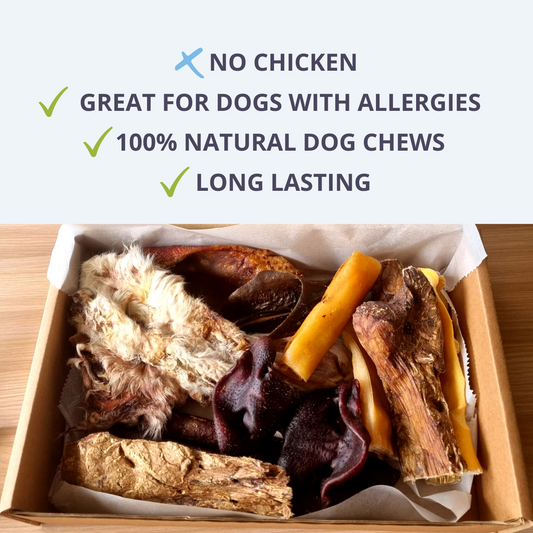 Natural Dog Treat Box - No Chicken