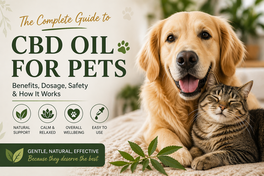 The Complete Guide to CBD Oil for Pets: Benefits, Dosage, Safety &amp; How It Works