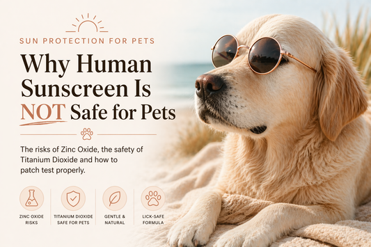 Why Human Sunscreen Is NOT Safe for Pets 🐾