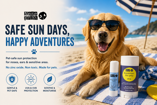 Why Human Sunscreen Can Be Dangerous for Pets + The Ultimate Beach Day Essentials for Dogs