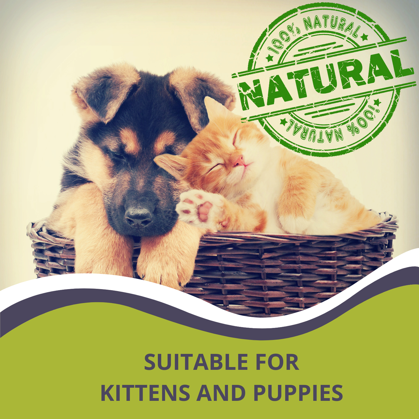 Natural Tick & Flea Spot-On for Dogs & Cats 10ml