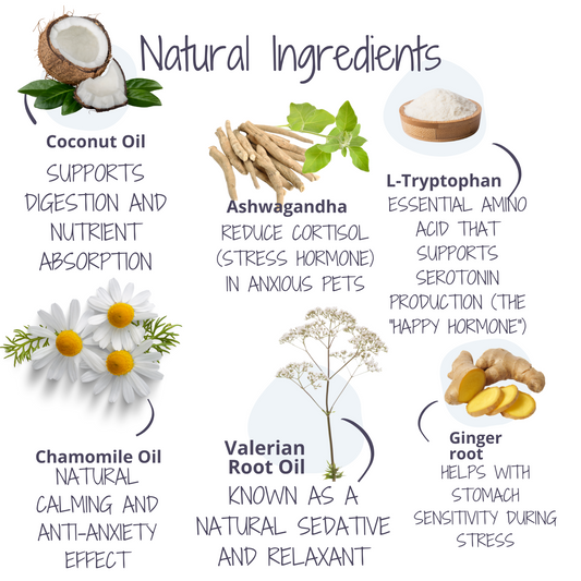 Calming Coconut Oil for Dogs & Cats – 200ml Anxiety Relief Supplement with Chamomile, Valerian & Ashwagandha – Natural Stress Soothing Formula