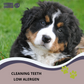 Coffee Wood Chew For Dogs