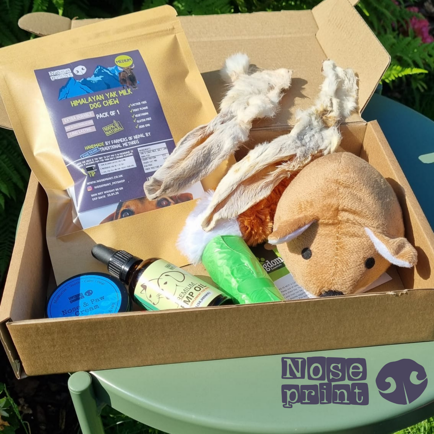 Dog Hamper Gift Box