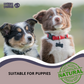 Coffee Wood Chew For Dogs