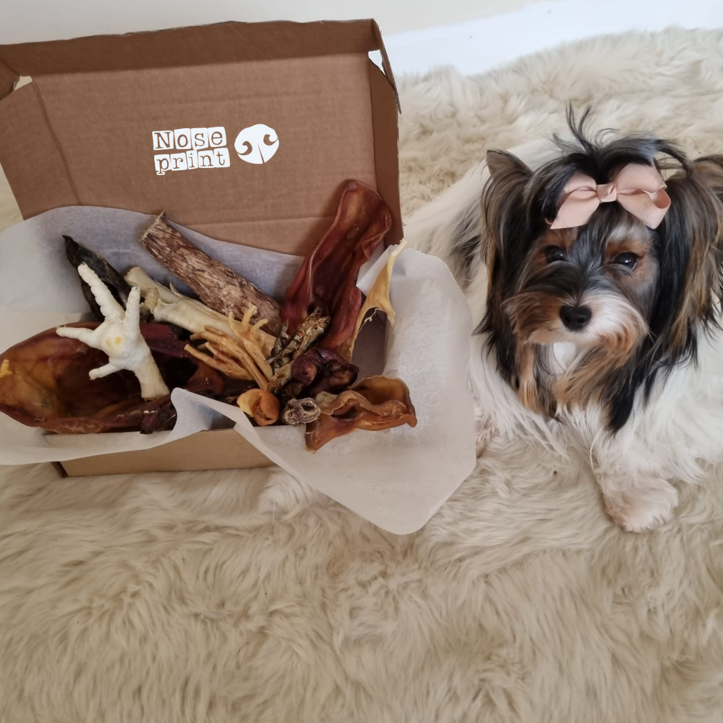 100% Natural Dog Treat Box - Standard