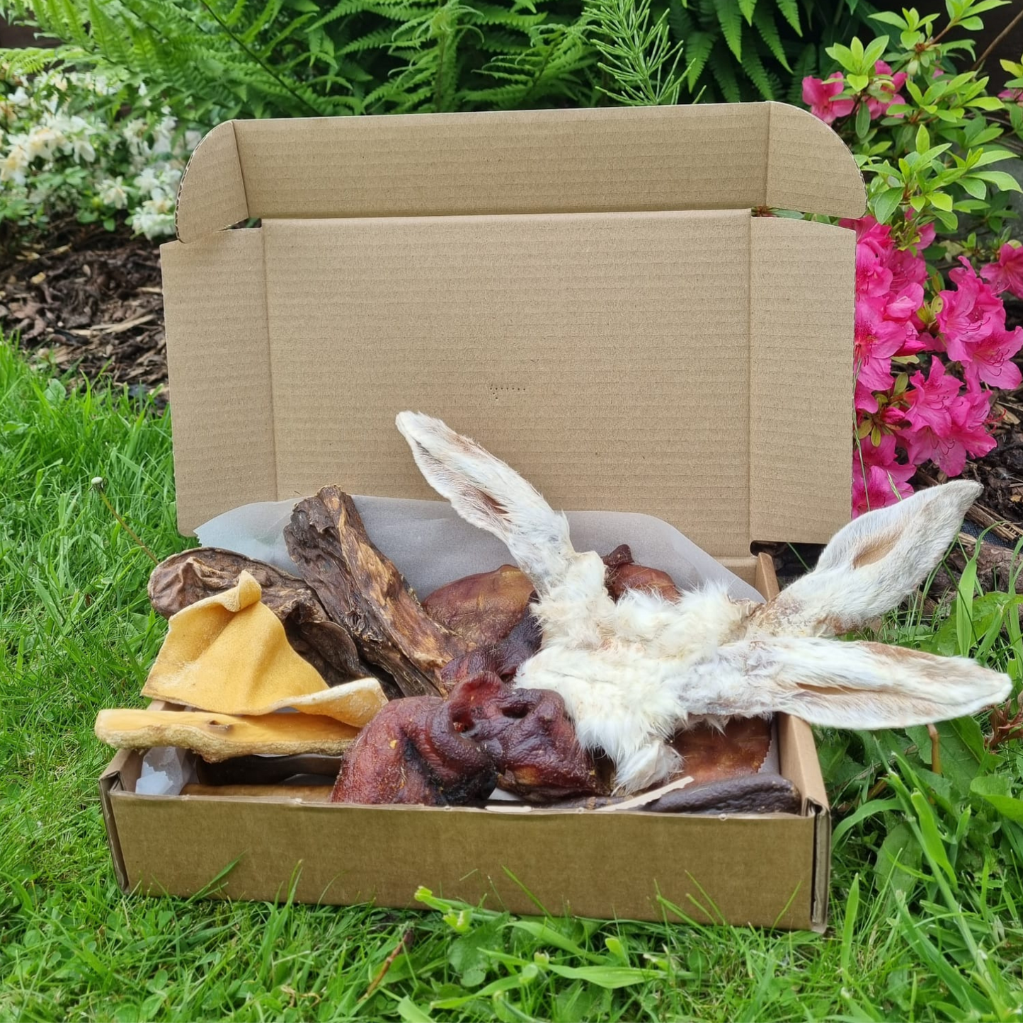 Natural Dog Treat Box - No Chicken